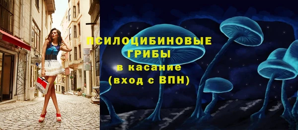 мяу мяу мука Армянск